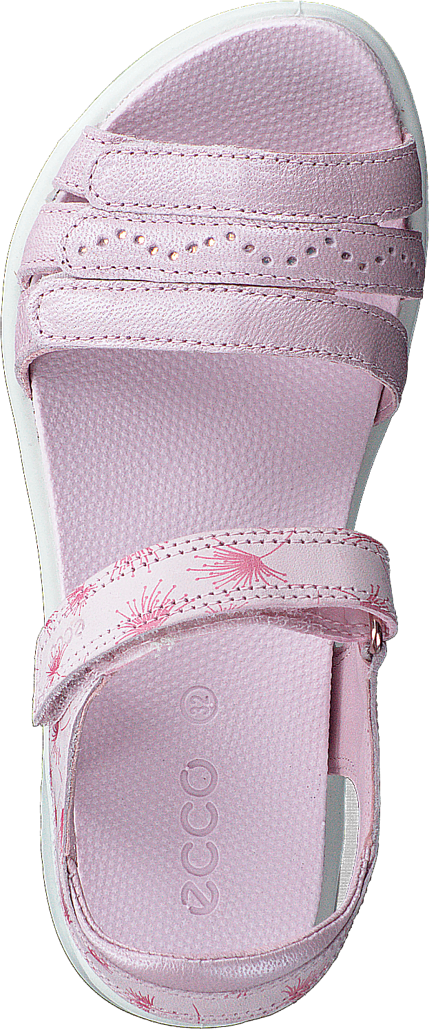 Flora Blossom Rose - Bild 6