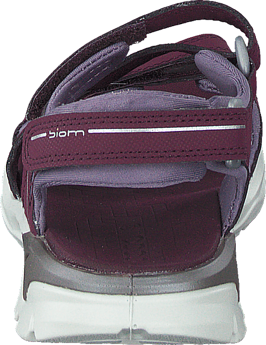 Biom Raft Aubergine