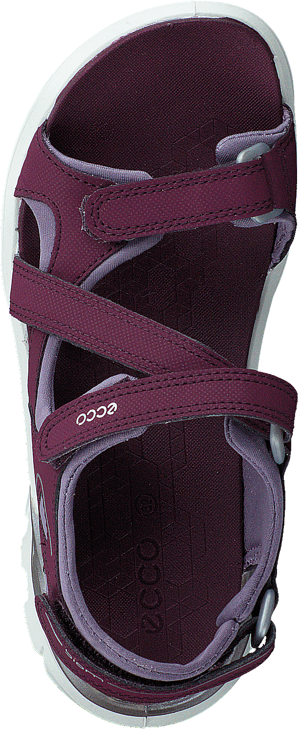 Biom Raft Aubergine