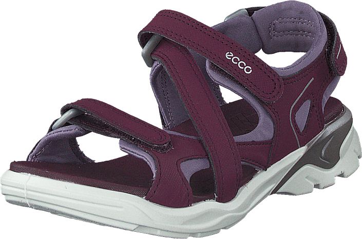 Buy Ecco Biom Raft Aubergine Shoes 