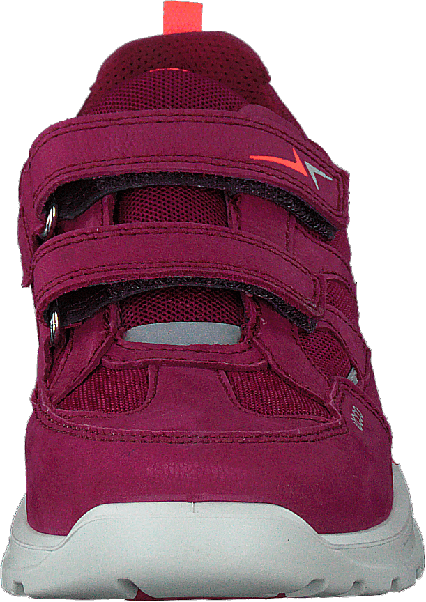 Urban Hiker Red Plum