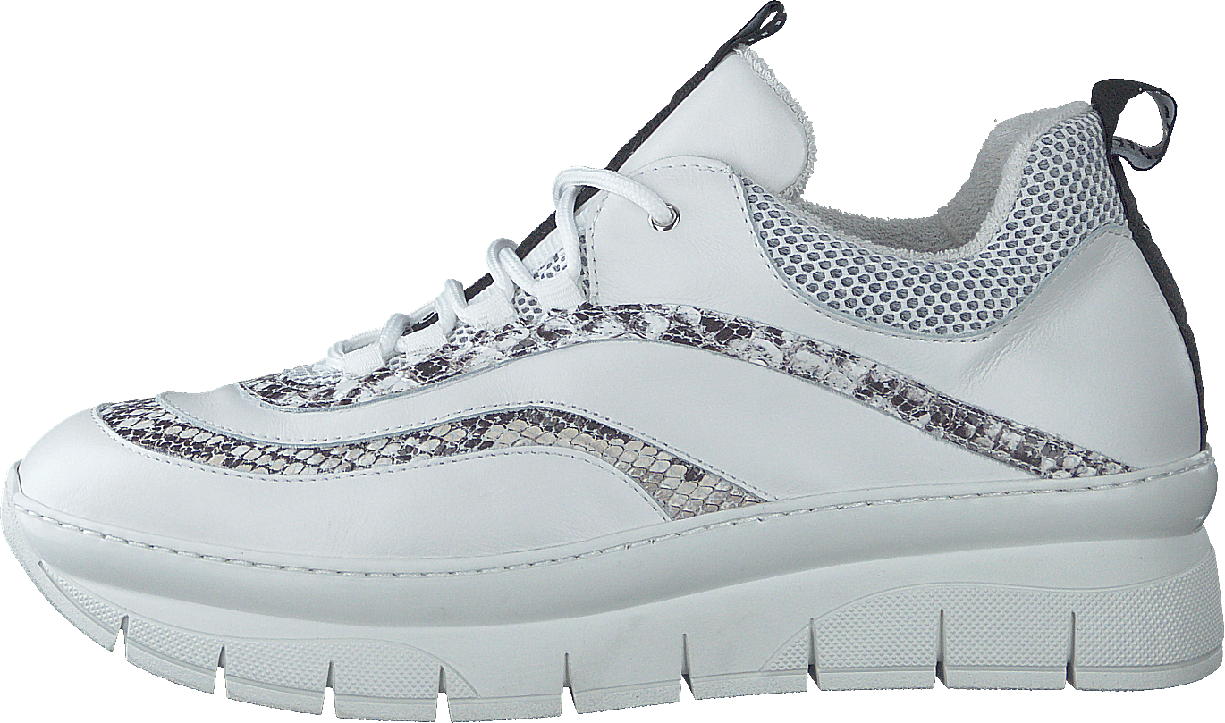 Hedvig Mix Snake / Bianco