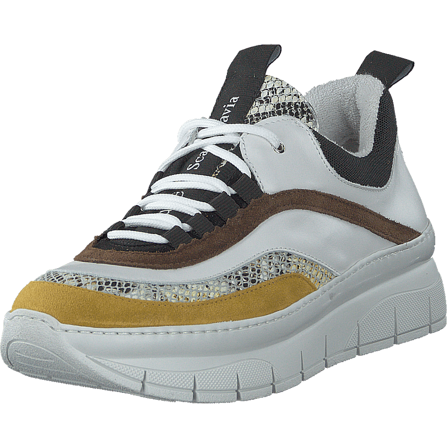 Hedvig Mix / Giallo - Bild 3