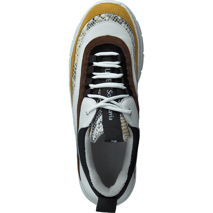 Hedvig Mix / Giallo - Bild 6