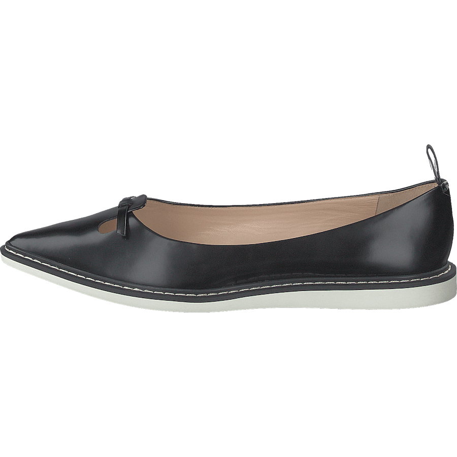 The Mouse Shoe Black