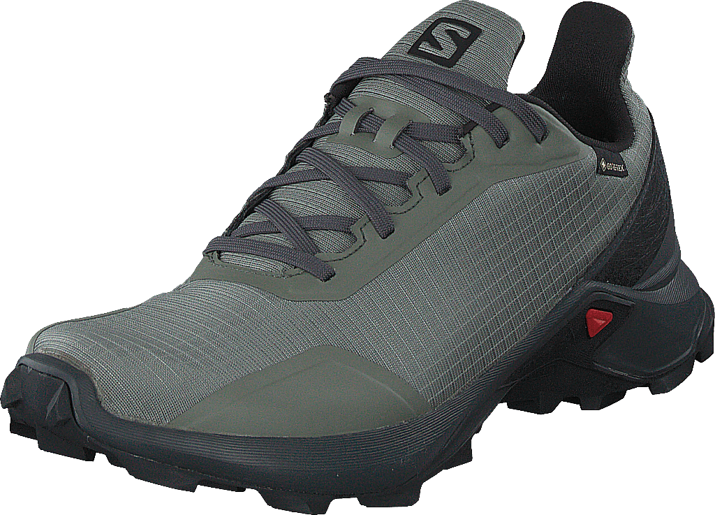 Alphacross Gtx Castor Gray/ebony/black