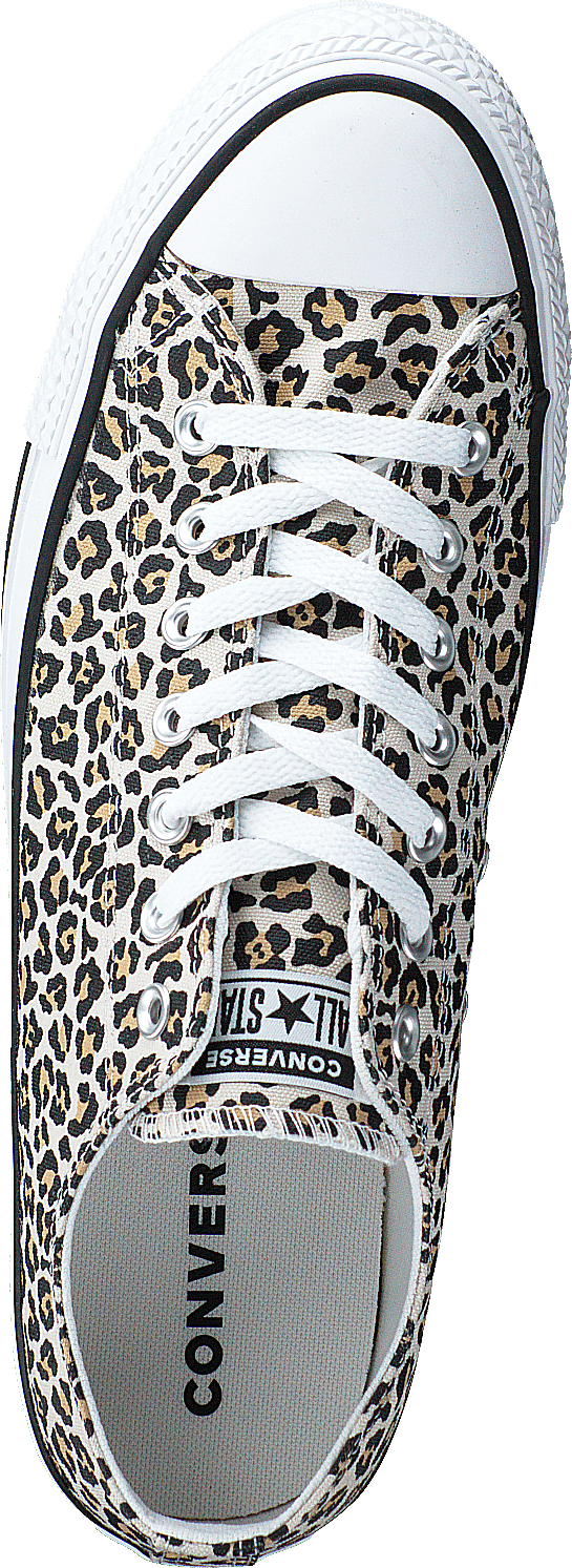 Chuck Taylor All Star Canvas A Black/driftwood/light Fawn