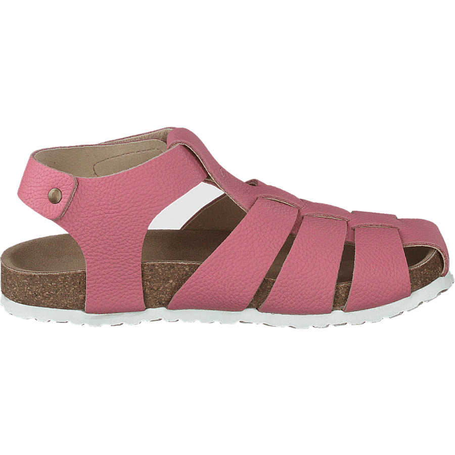 Gopshus Ep Brandied Apricot - Bild 2