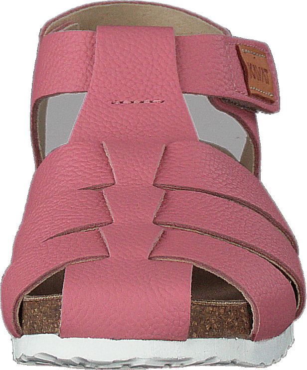 Gopshus Ep Brandied Apricot - Bild 4