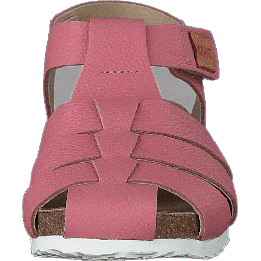 Gopshus Ep Brandied Apricot - Bild 4