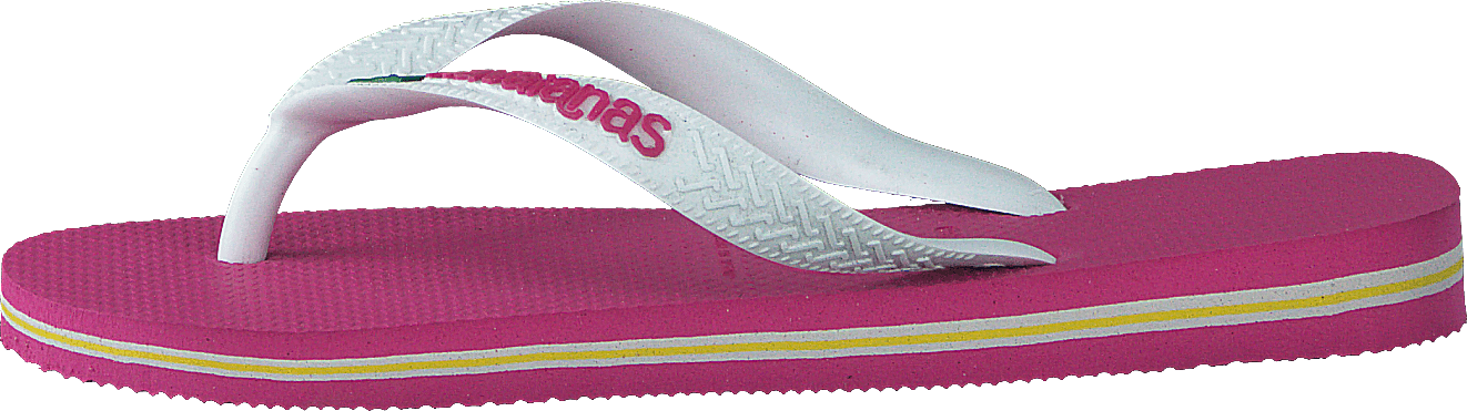 Brasil Logo Hollywood Rose