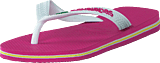 Brasil Logo Hollywood Rose - Bild 9