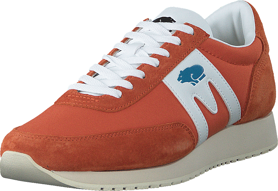 Albatross Burnt Orange/white