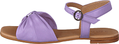 Madeleine Lilac - Bild 10