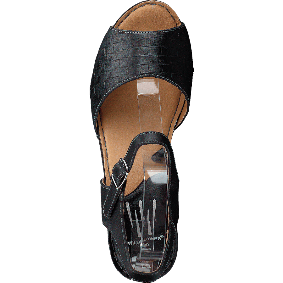 Nicole Black 06 - Bild 6