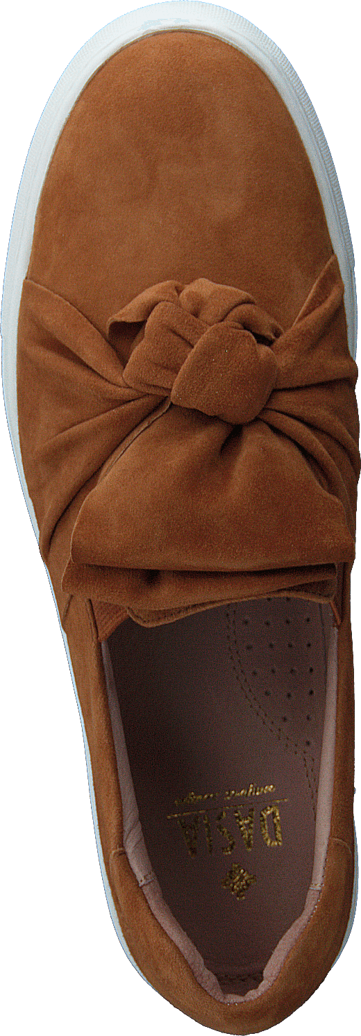 Starlily Bowstrap Brown