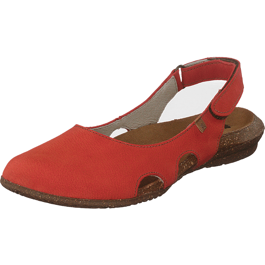 Wakataua Coral - Bild 3