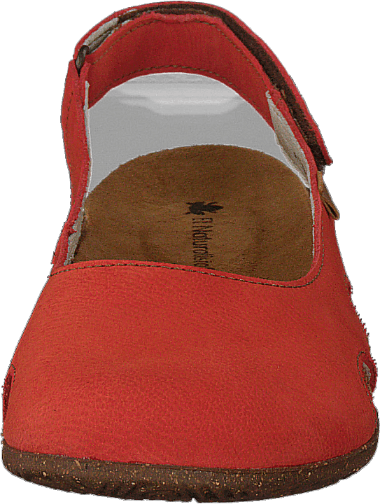 Wakataua Coral - Bild 4