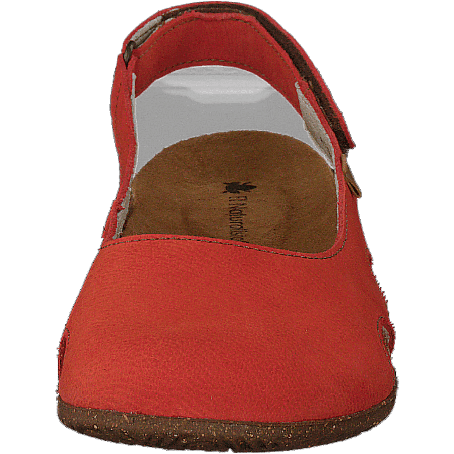 Wakataua Coral - Bild 4