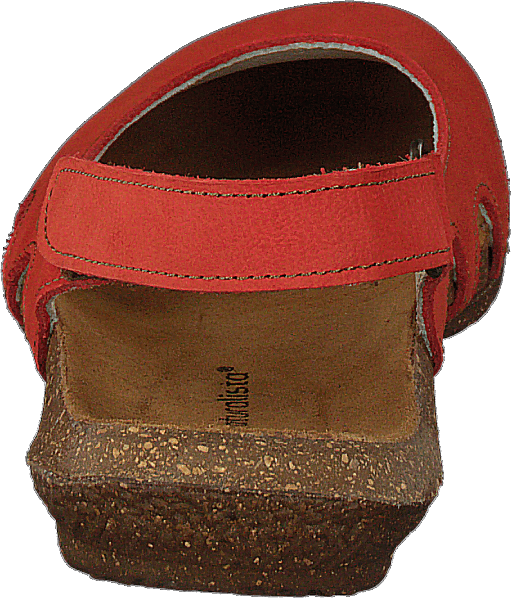 Wakataua Coral - Bild 5