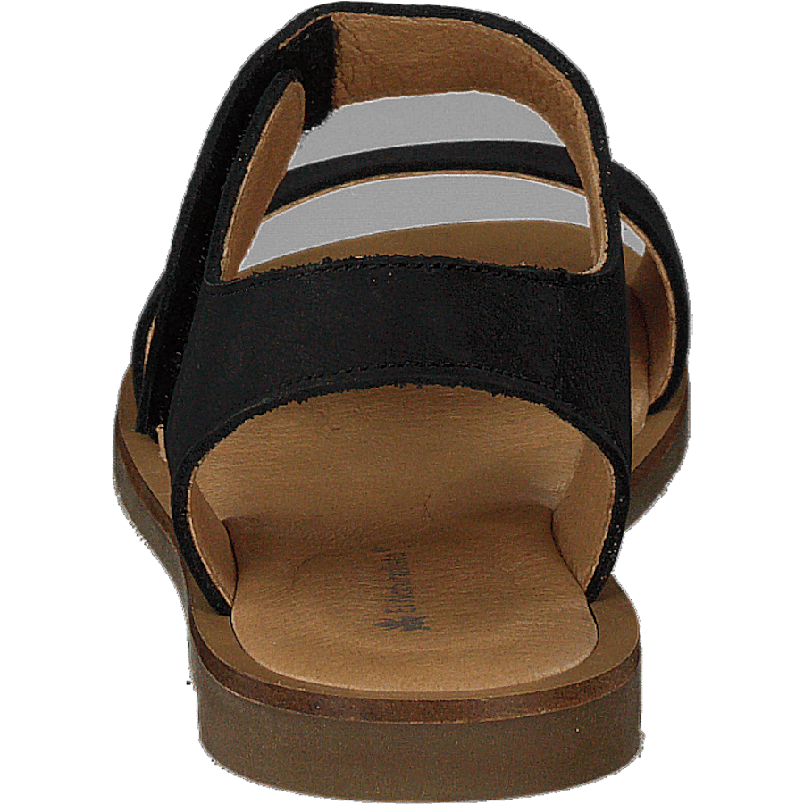 Tulip Ibón Black - Bild 5