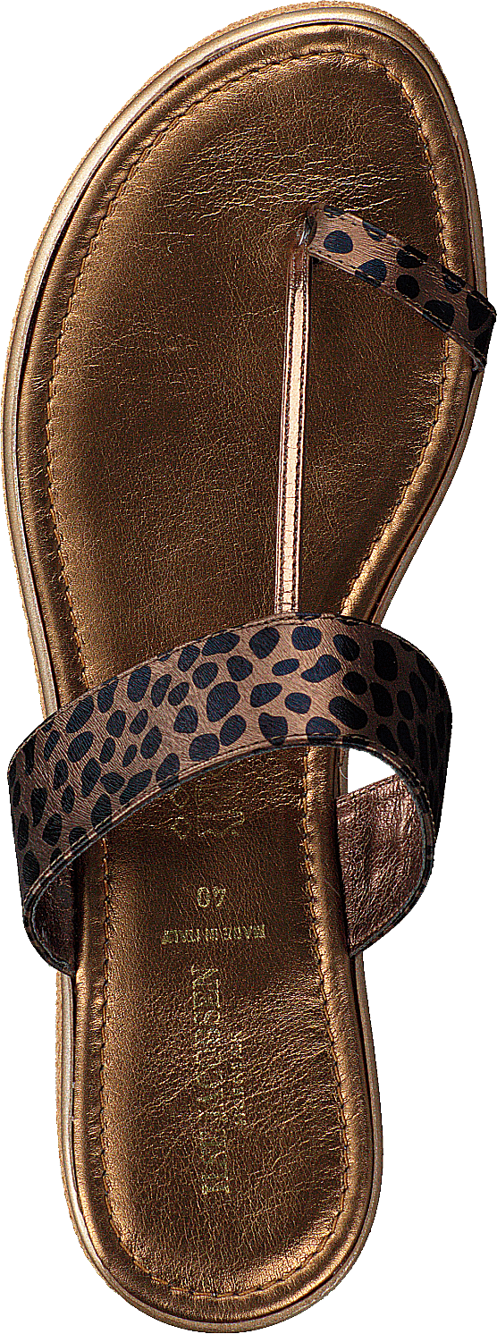 Leonora1160 Light Chestnut - Bild 6