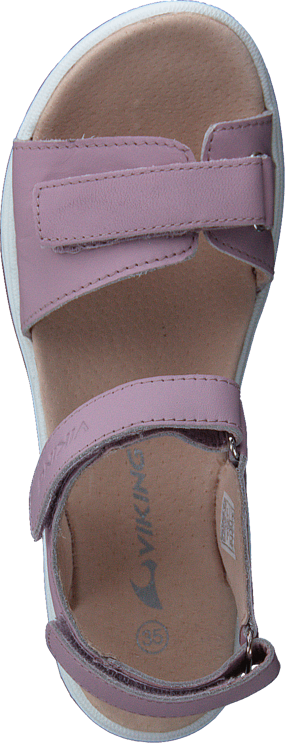 Helle Lavender - Bild 6