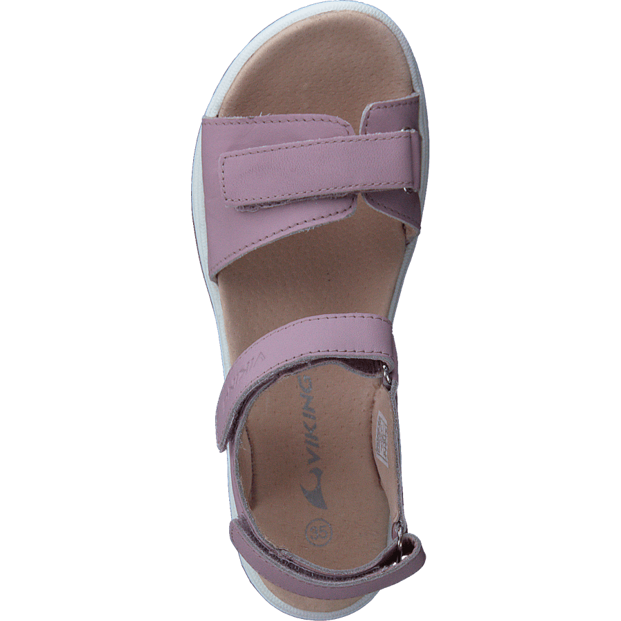 Helle Lavender - Bild 6