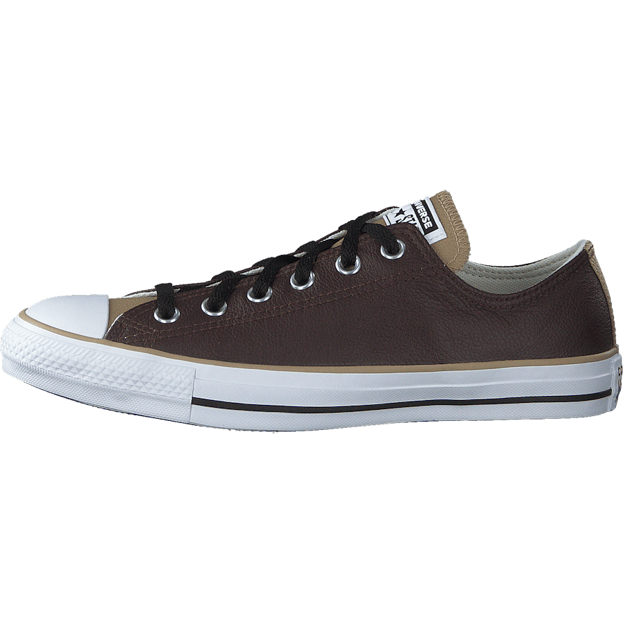 Chuck Taylor All Star Dark Root/nomad Khaki/white