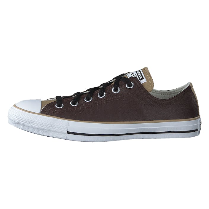 Chuck Taylor All Star Dark Root/nomad Khaki/white, Unisex, Shoes, Trainers, Trainers, Brown, EU 41,5