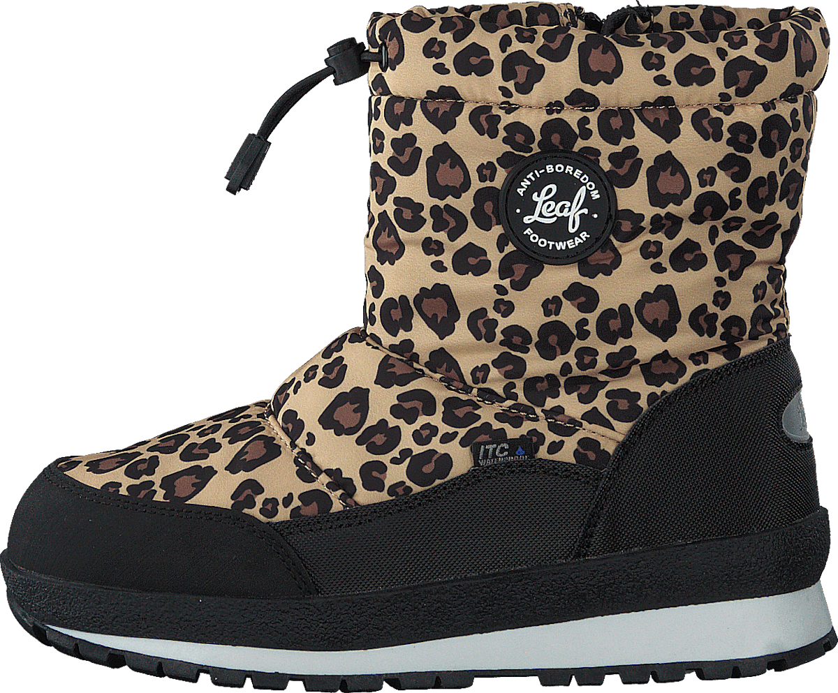 Ilsbo Leopard
