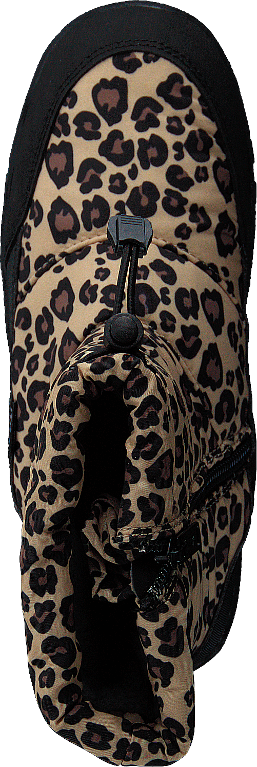 Ilsbo Leopard