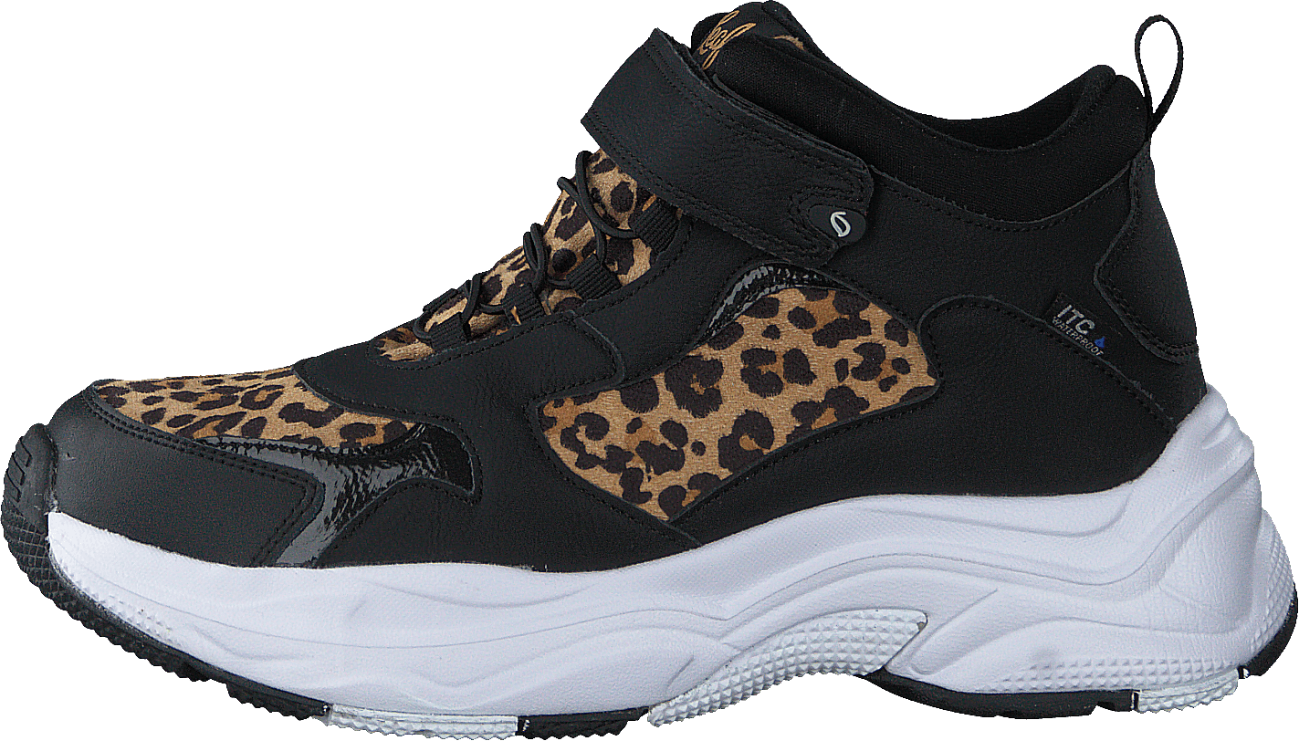 Narken Leopard