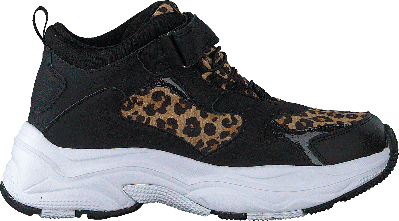 Narken Leopard - Bild 2