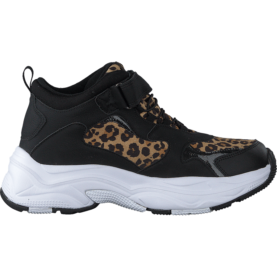Narken Leopard - Bild 2