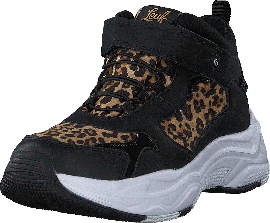 Narken Leopard - Bild 3