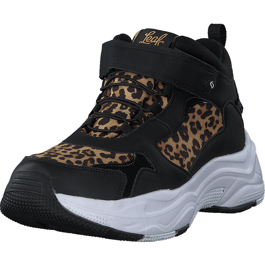 Narken Leopard - Bild 3