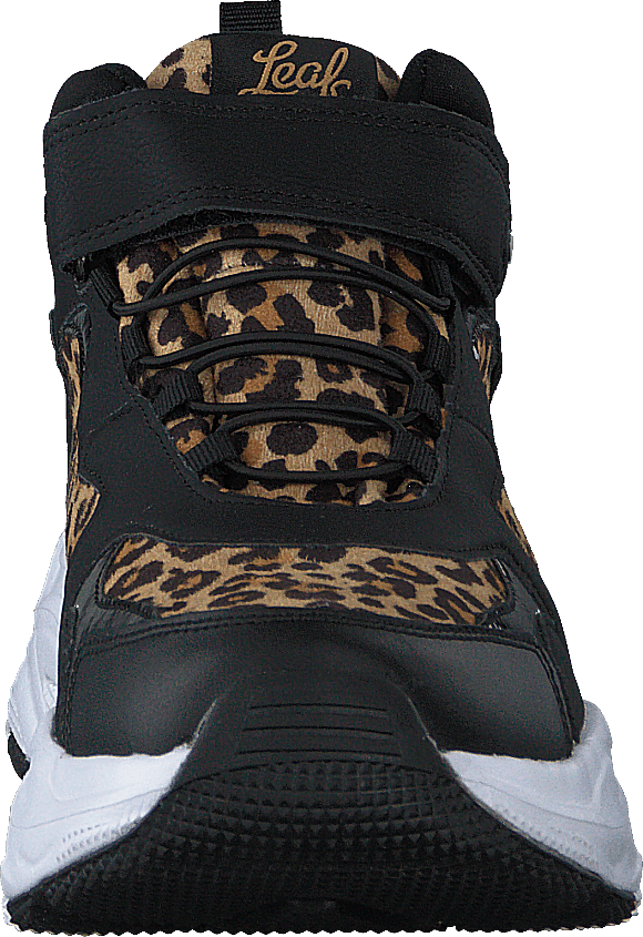 Narken Leopard - Bild 4