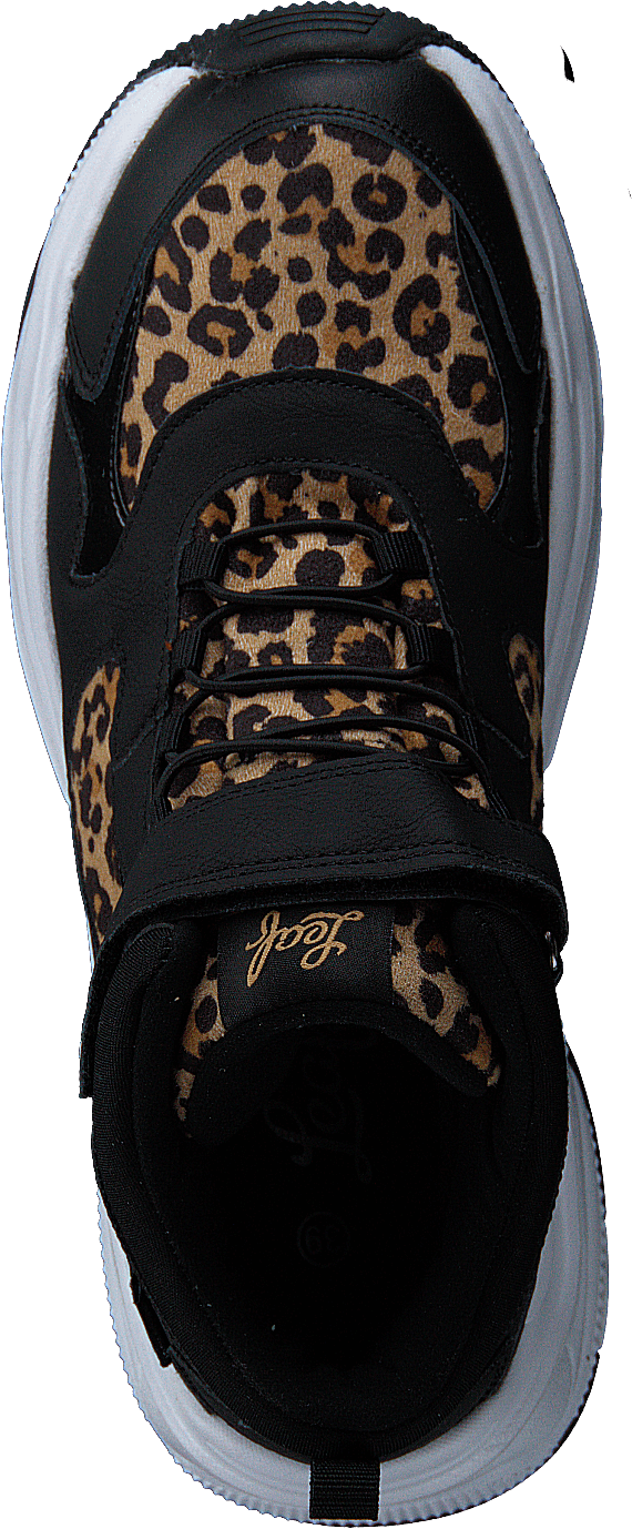 Narken Leopard - Bild 6