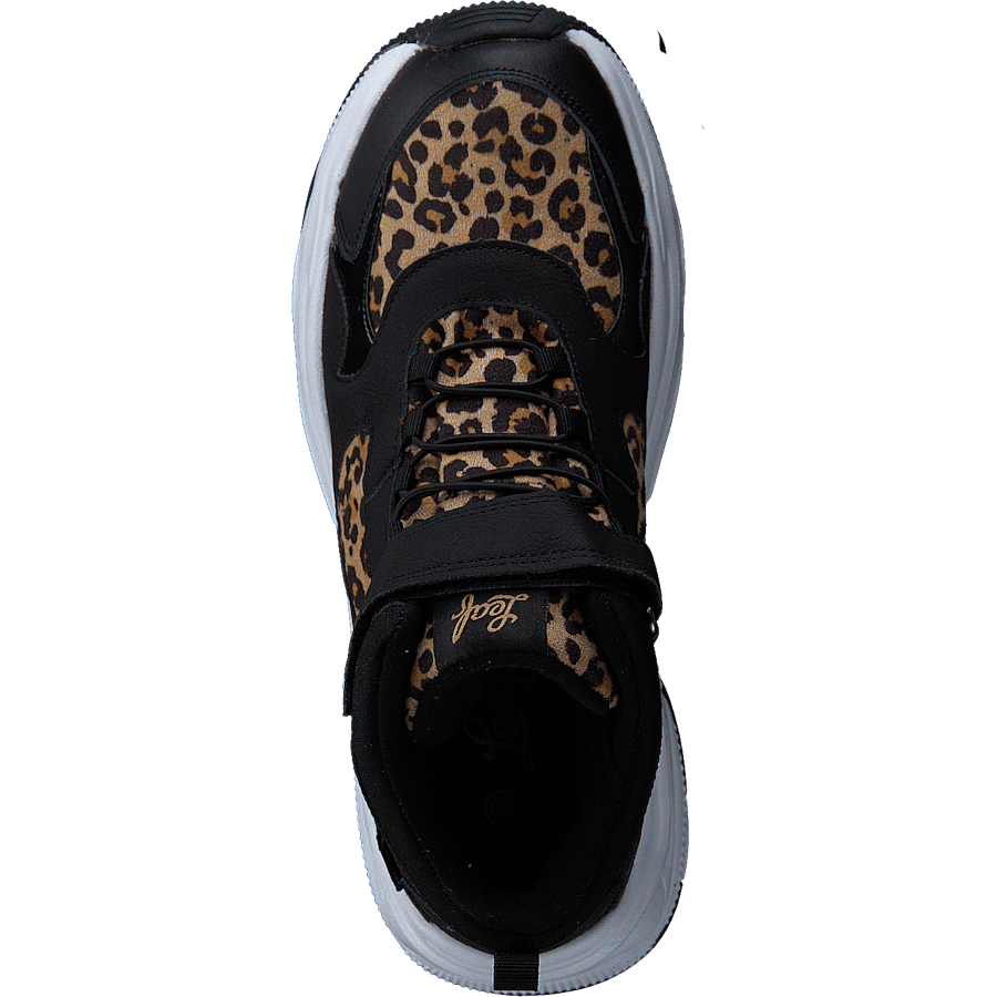 Narken Leopard - Bild 6