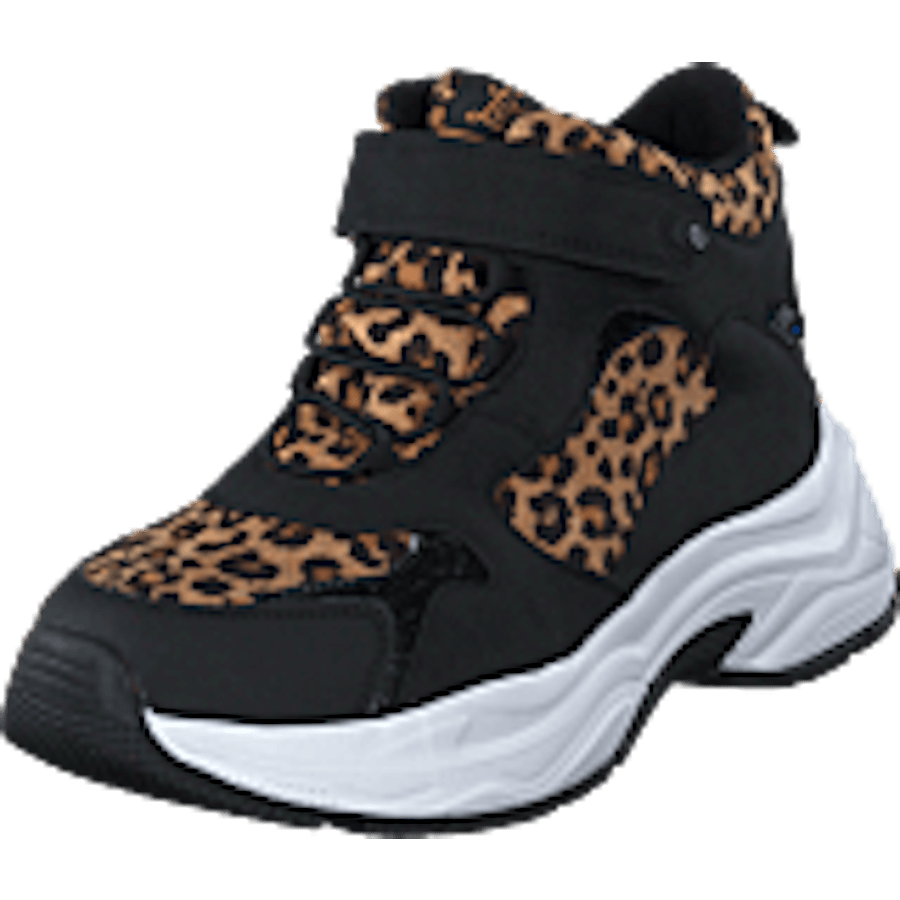Narken Leopard - Bild 9
