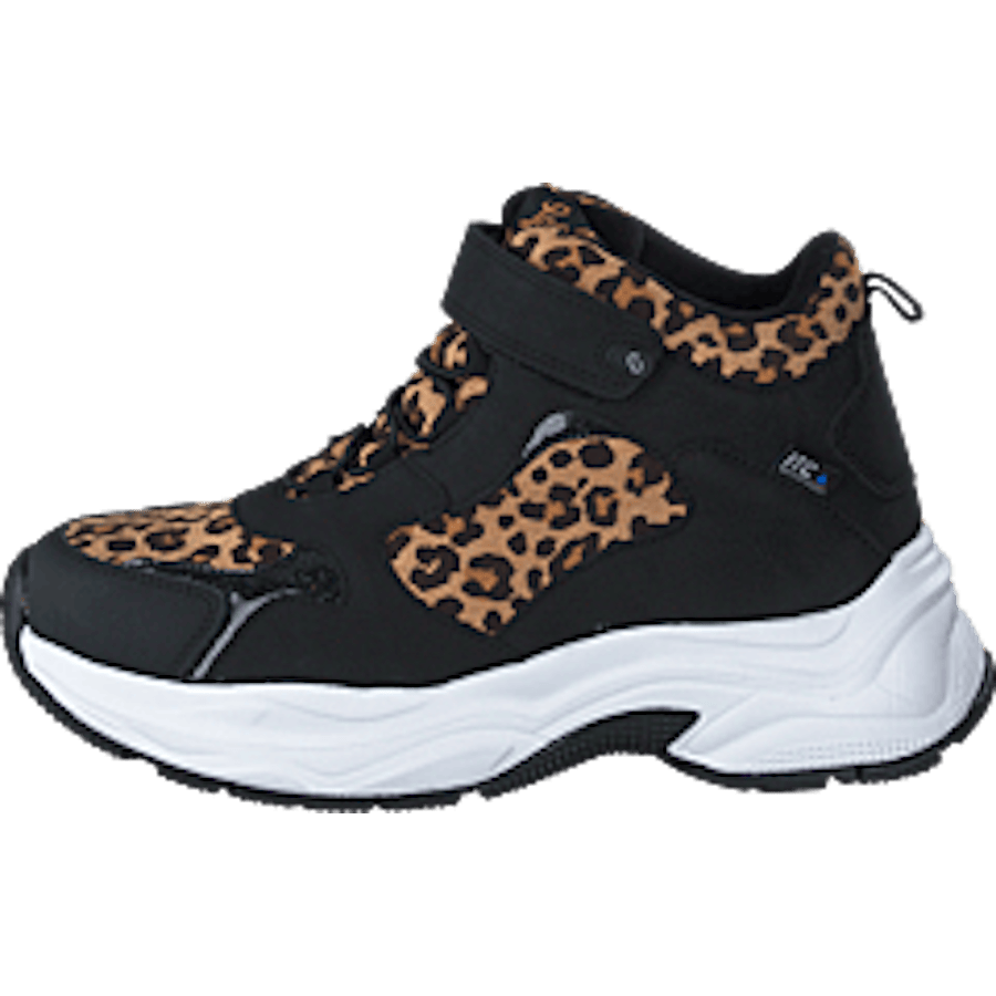 Narken Leopard - Bild 10