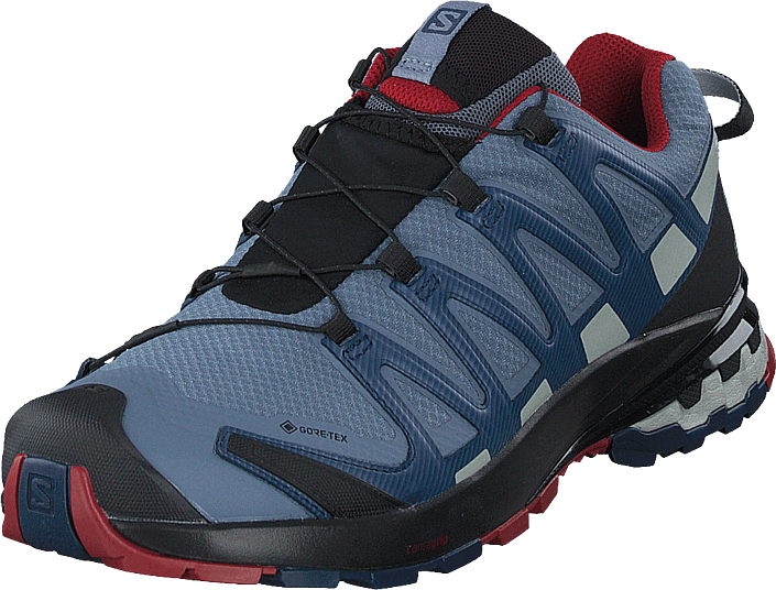 Kjøp Salomon Xa Pro 3d V8 Gtx Flintsargasso Seard Dahlia Kjøp Salomon Xa Pro 3D GTX® BlackBlackMagnet sko Online