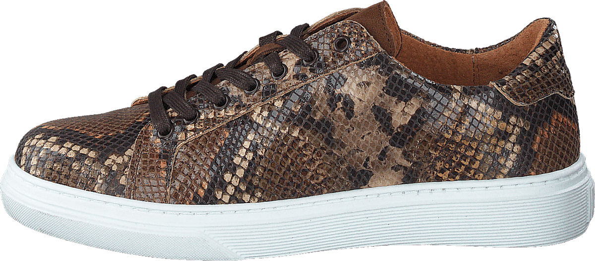 Lixa Snake Brown