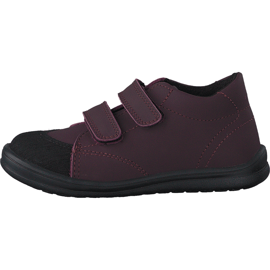 Stocksbo Xc Damson Plum