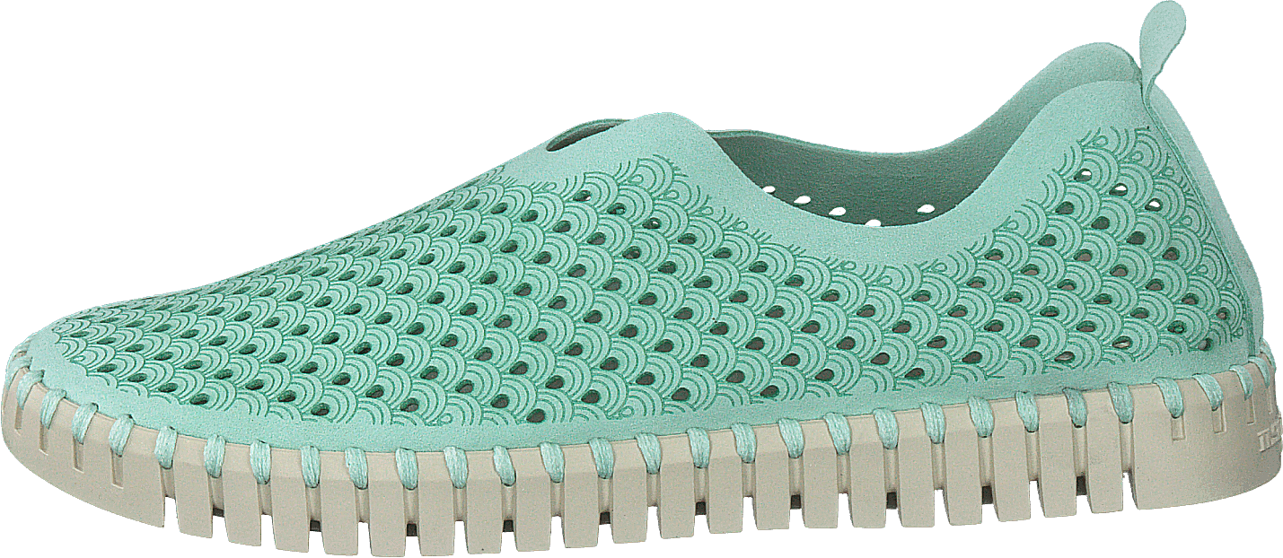 Tulip3275 Laurel Green Light