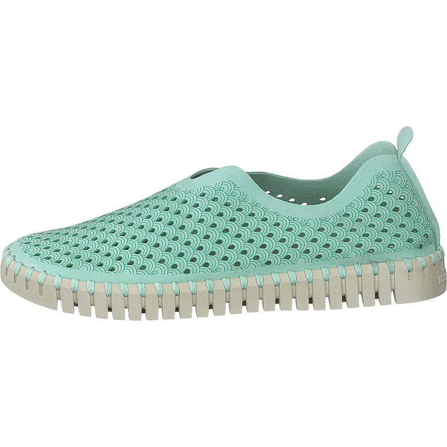 Tulip3275 Laurel Green Light