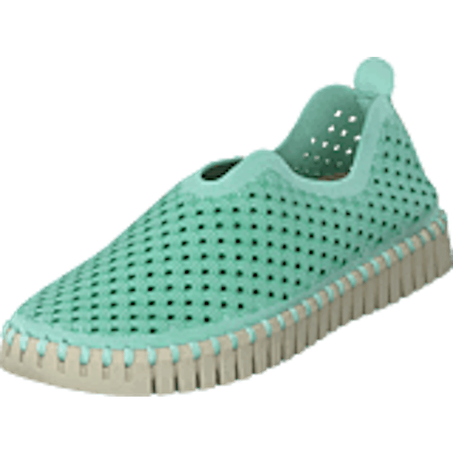 Tulip3275 Laurel Green Light - Bild 9