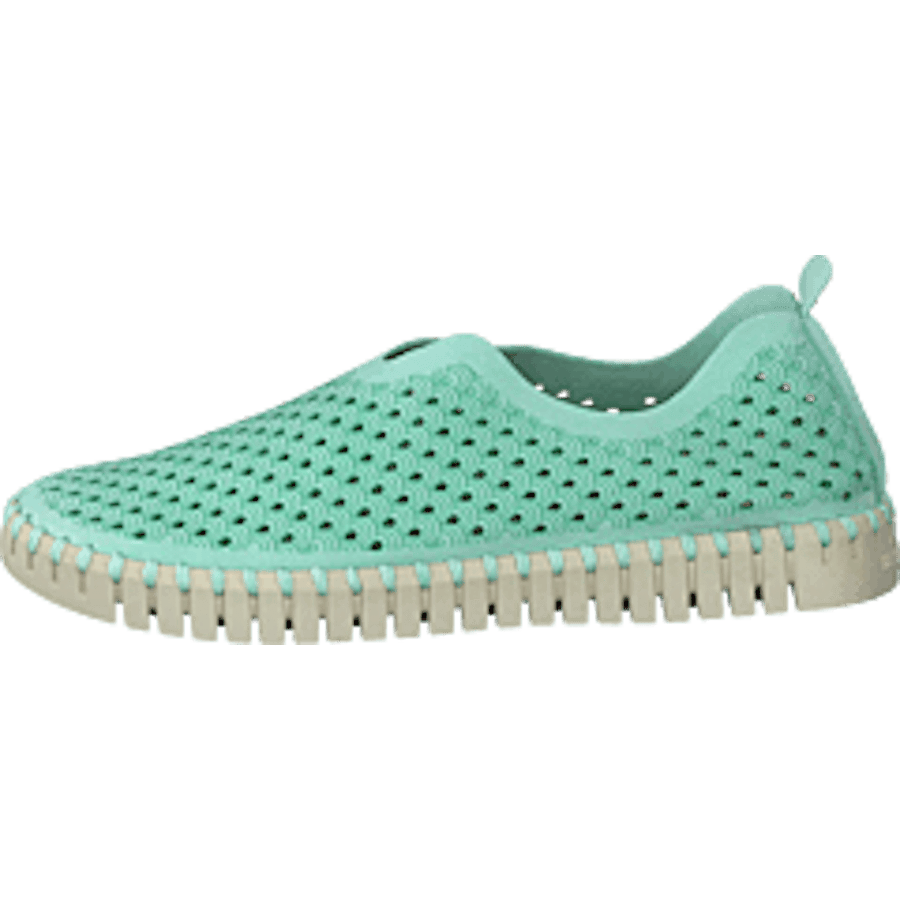 Tulip3275 Laurel Green Light - Bild 10