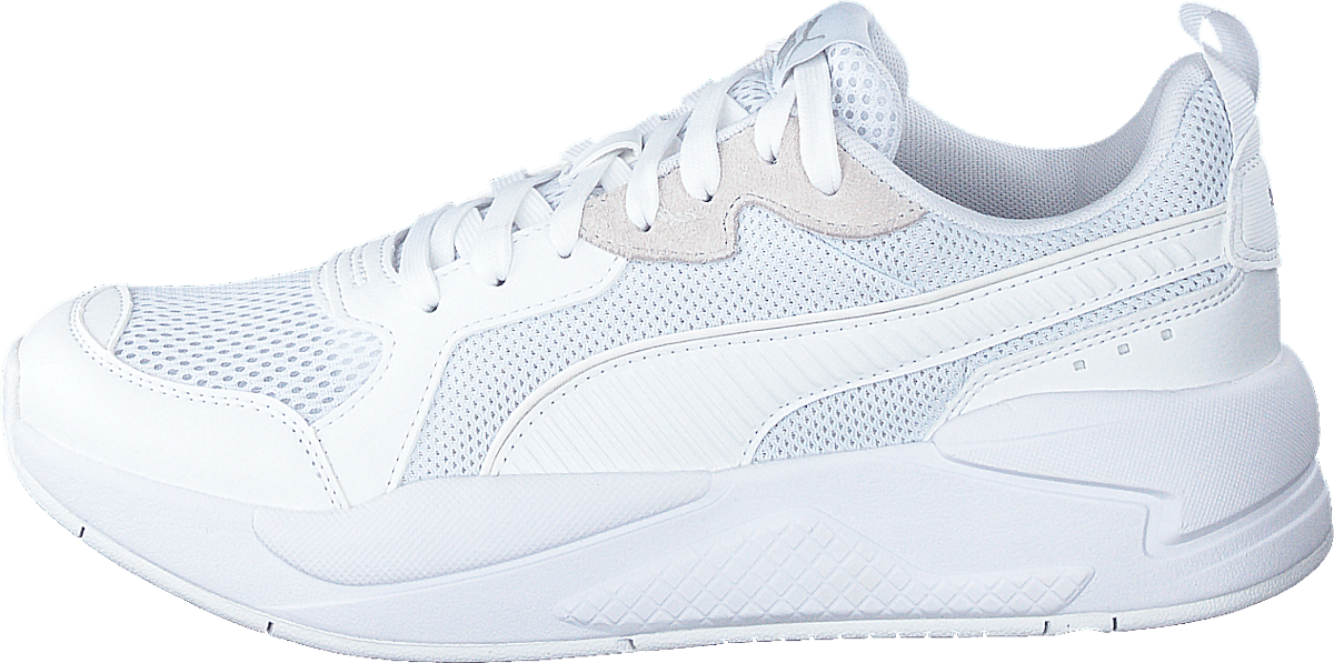 X-ray Puma White-gray Violet